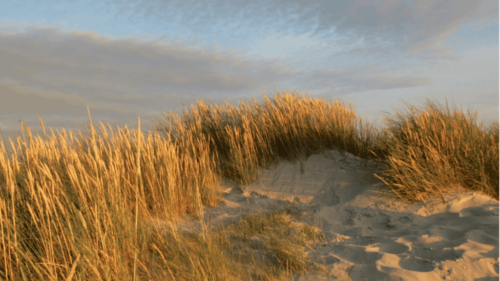 Teamevent an der Nordsee: 5 Destinations zwischen Sylt und Cuxhaven 7 Destinations Teamevent Nordsee
